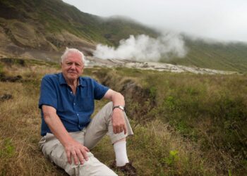 Celebrate David Attenborough’s 100th Birthday on BritBox