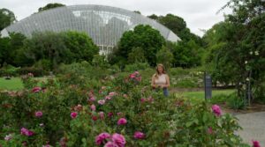 Better Homes and Gardens on Channel 7 S32E12 and S32E13