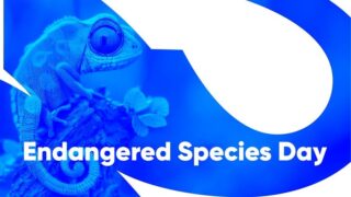 May 2026 on Warner Bros Discovery