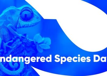 May 2026 on Warner Bros Discovery