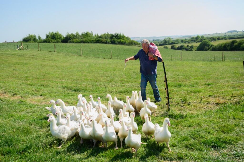 Clarkson's Farm on Prime Video season 5 first look