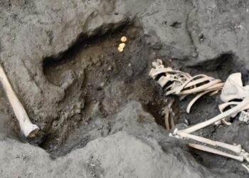 Pompeii: The New Dig – The Woman With The Pearl Earring on SBS and SBS on Demand