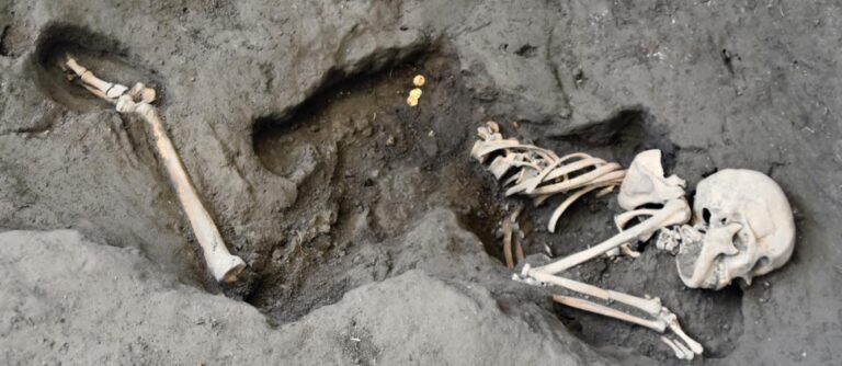 Pompeii: The New Dig – The Woman With The Pearl Earring on SBS and SBS on Demand