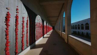 A New ANZAC on SBS and SBS on Demand S1E1