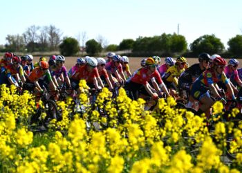 Paris-Roubaix Femmes Avec Zwift 2026 on SBS Viceland and SBS on Demand