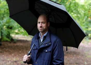 The Earthshot Report on SBS Viceland and SBS on Demand