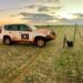ABC and AAP partner in regional news content sharing