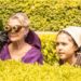 Caper Crew on ABC Family and ABC iview S1E8
