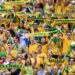 Get fit for the FIFA World Cup™ with new SBS on Demand features