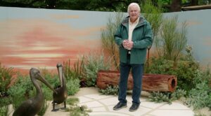 Better Homes and Gardens on Channel 7 S32E22