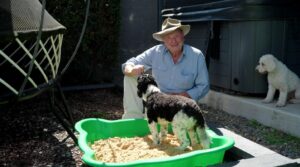 Better Homes and Gardens on Channel 7 S32E20