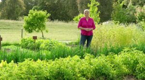 Better Homes and Gardens on Channel 7 S32E25