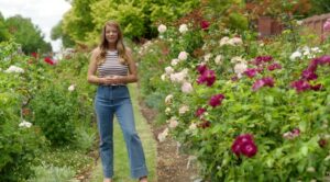 Better Homes and Gardens on Channel 7 S32E21