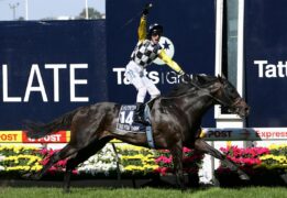 Glen Boss joins the Seven stable