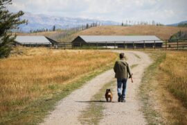 Saving Yellowstone on SBS and SBS on Demand S2E1