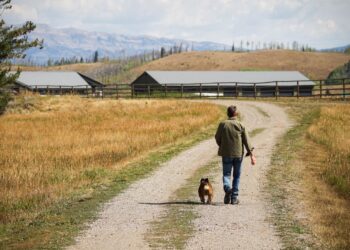 Saving Yellowstone on SBS and SBS on Demand S2E1