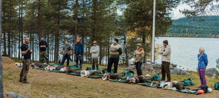Alone Finland on SBS Viceland and SBS on Demand S1E1 - S1E4