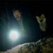 MOVIE | The Fox trailer