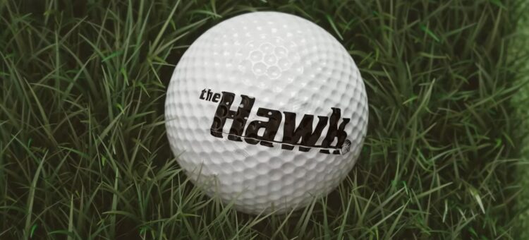 The Hawk on Netflix official teaser and date announcement