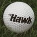 The Hawk on Netflix official teaser and date announcement