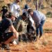First Nations Factual Co-production Development Fund launched to elevate Indigenous storytelling in global markets