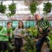 Gardening Australia Junior on ABC Kids and ABC iview S3E20
