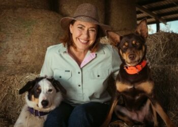 Lisa Millar leads ABC's 41 nominations at the 2026 TV Week Logie Awards.