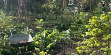 Monty Don’s British Gardens episode 3 on ABC TV and ABC iview