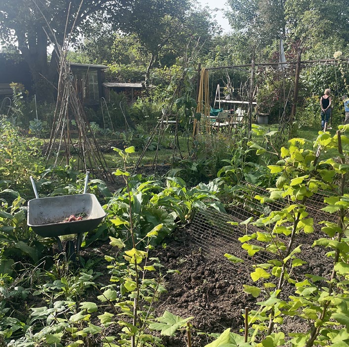 Monty Don’s British Gardens episode 3 on ABC TV and ABC iview