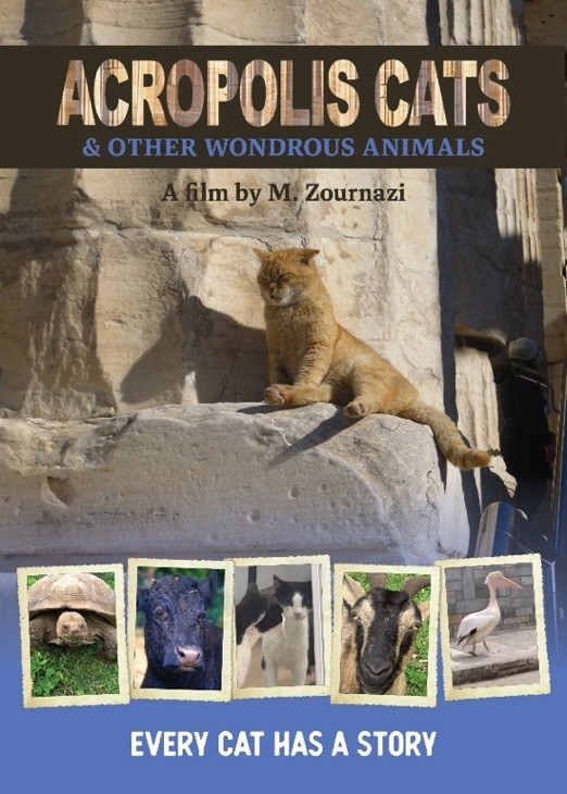 Acropolis Cats & Other Wondrous Animals will premiere at the Melbourne Documentary Film Festival in July.