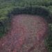 Aerial view of a logged section of native forest featured in Four Corners: Timber Turmoil on ABC TV.