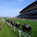 Royal Ascot horse racing action from Ascot Racecourse, airing live on Seven and 7plus Sport.