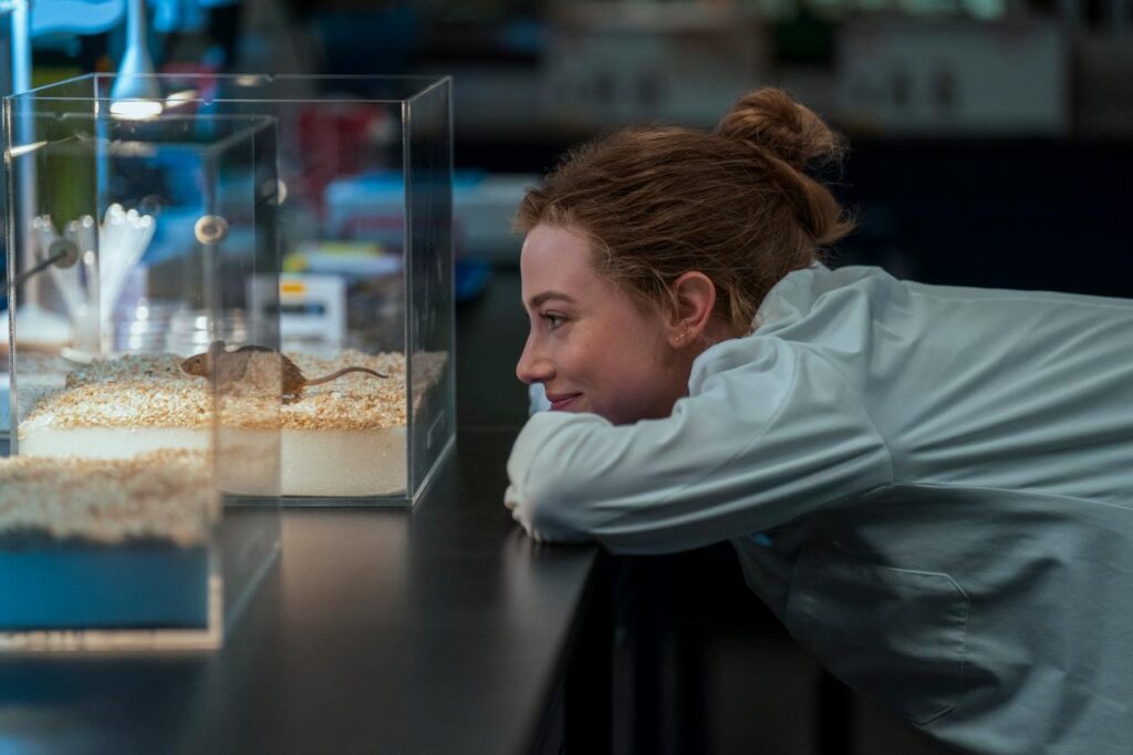 Lili Reinhart and Tom Bateman star in Prime Video's adaptation of The Love Hypothesis.