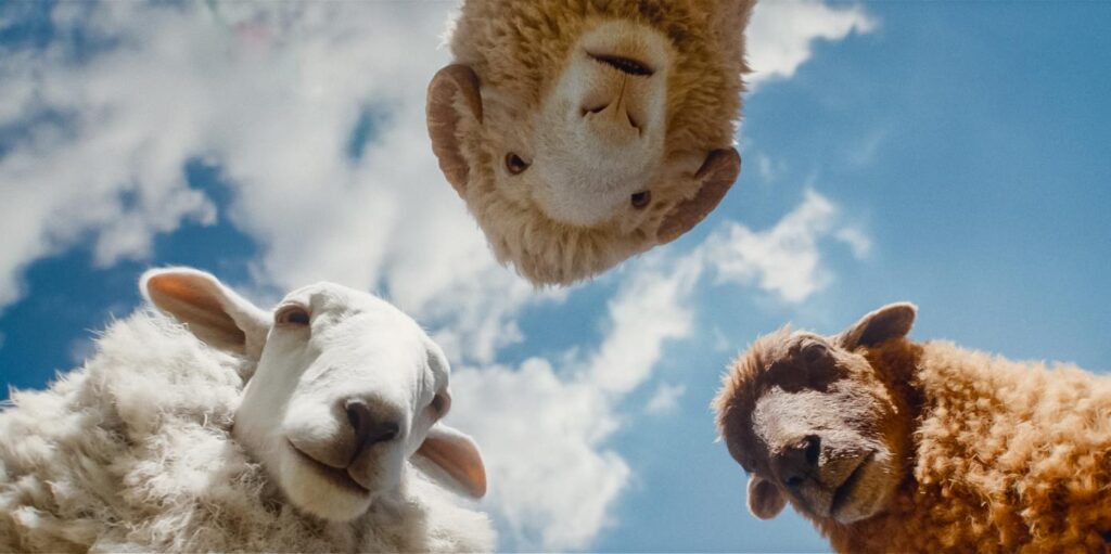 Hugh Jackman stars in The Sheep Detectives, streaming on Prime Video.
