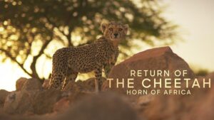 Warner Bros. Discovery August 2026 highlights including Shark Week and Game Day Murders