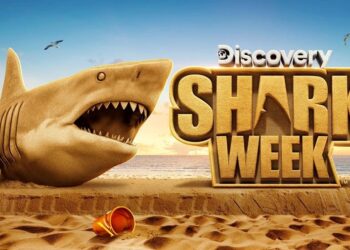 Warner Bros. Discovery August 2026 highlights including Shark Week and Game Day Murders