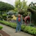 Better Homes and Gardens Topiary Wonderland with Melissa King
