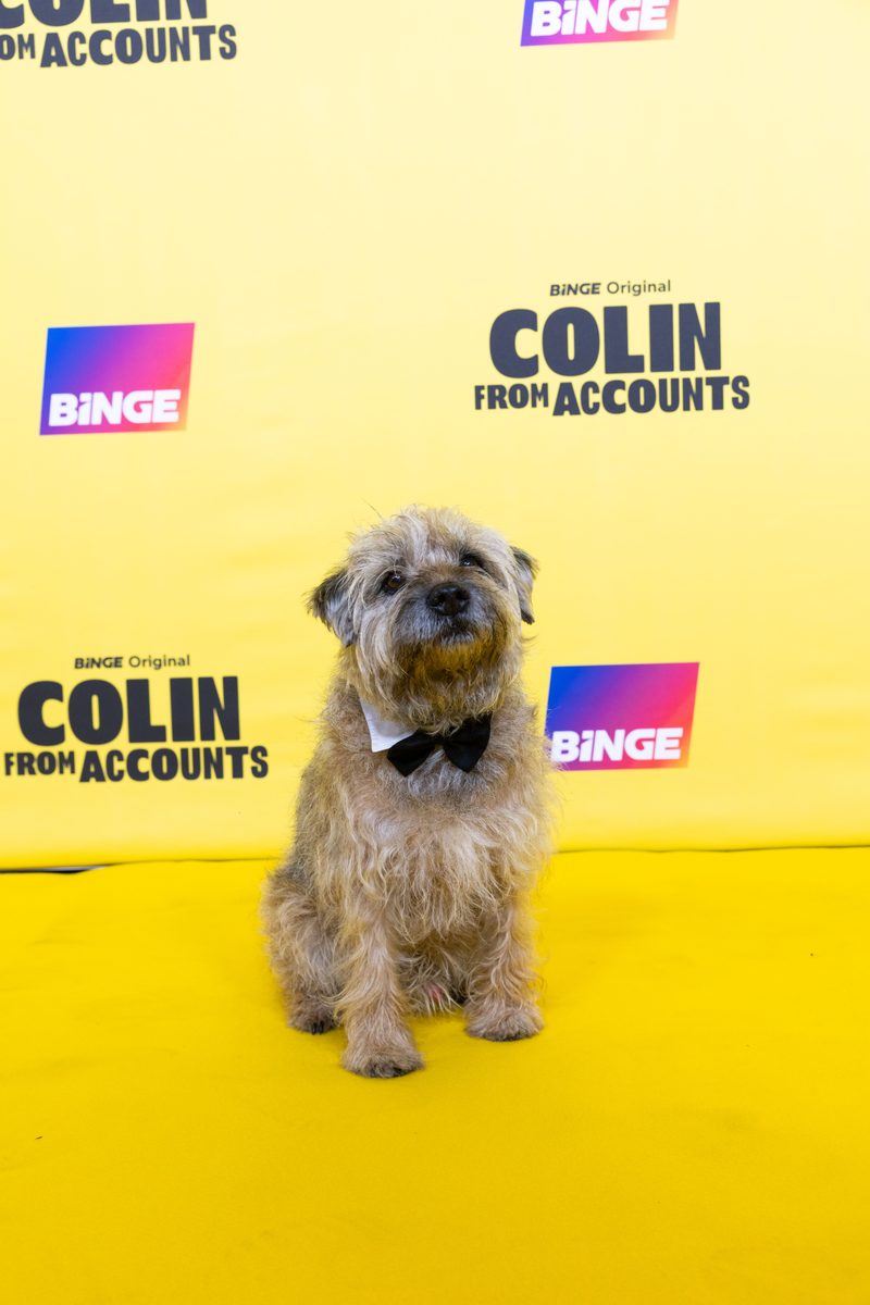 Colin at the Colin From Accounts final season red carpet event
