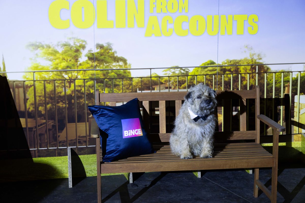 Colin at the Sydney celebration for the final season of Colin From Accounts