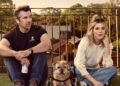 Patrick Brammall, Harriet Dyer and Colin in Colin from Accounts final season artwork for BINGE