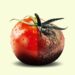 Four Corners: Duped: Food Exposed investigates food fraud and supermarket supply chains