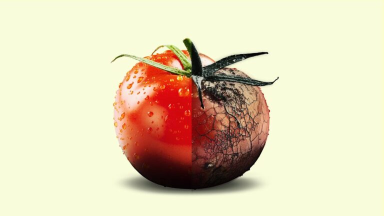 Four Corners: Duped: Food Exposed investigates food fraud and supermarket supply chains