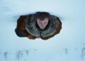 Still from Andrew Haigh's A Long Winter.