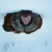 Still from Andrew Haigh's A Long Winter.