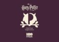 Harry Potter Owl Post Experience artwork for HBO Max and Australia Post