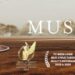 Muster Dogs casting call through MyCastingNet