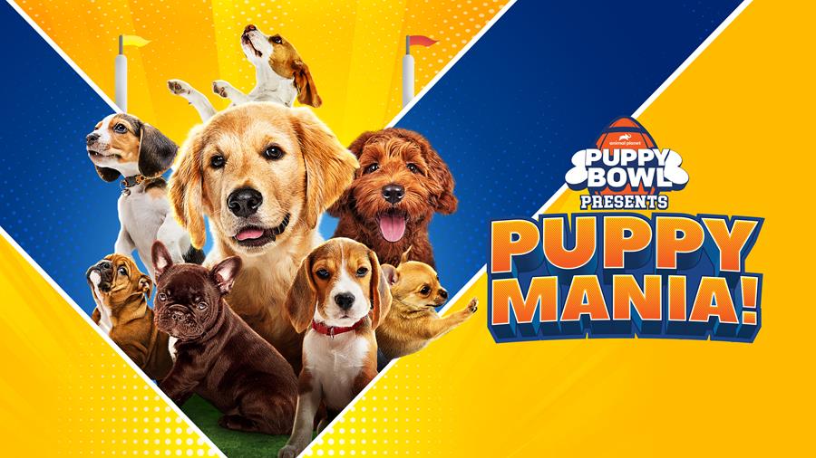 Puppy Bowl Presents: Puppy Mania premieres on Animal Planet in September 2026.