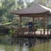 Graham Ross visits Edogawa Japanese Garden on Better Homes and Gardens