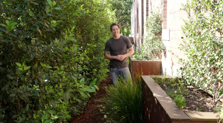Charlie stands in a garden side passage on Better Homes and Gardens