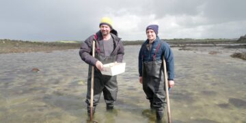 Colin Fassnidge collecting oysters in Galway for Better Homes and Gardens